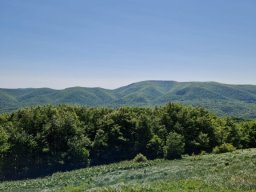 b_1024_768_0_00_images_2022_2023_SKKT_PTTK_rajd_czerwiec_352319424_159600603759043_6671077707417404003_n